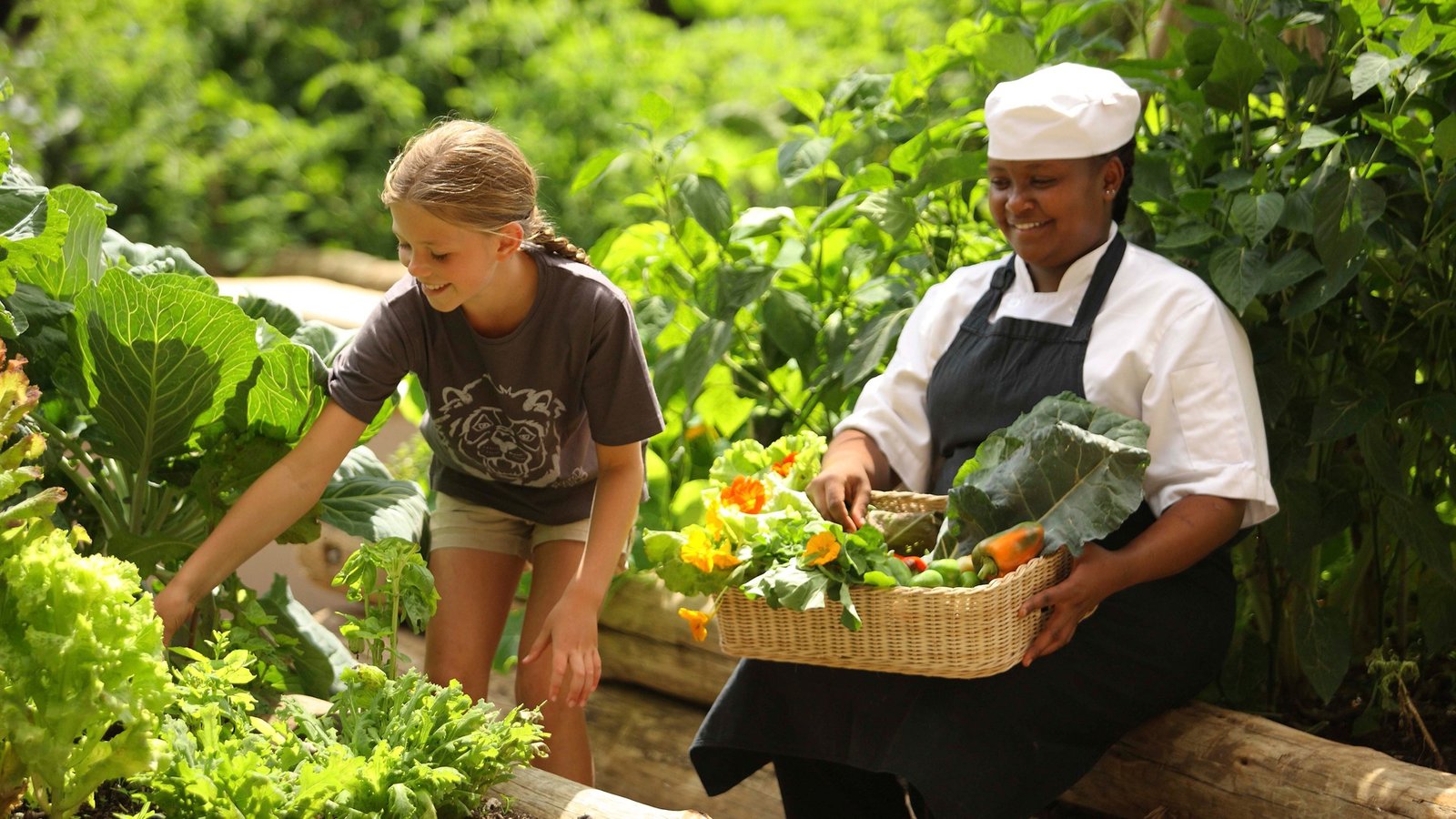 Farm to table one young generation